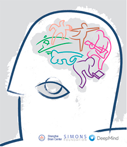 CCNSS logo