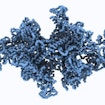 protein structure