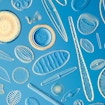 A microscopic view of many diatoms