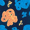 Illustration of abstract proteins floating through a starry sky.