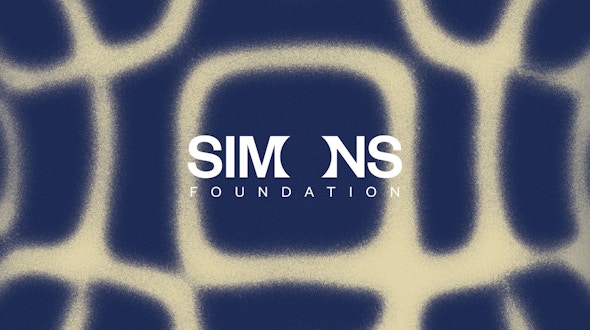 A pattern from Chladni plates with the Simons Foundation logo on top