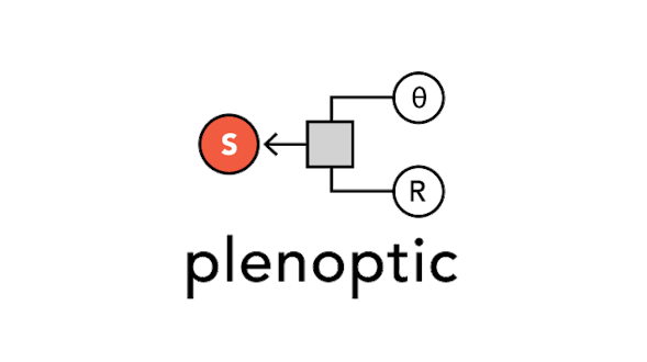 Project Image for plenoptic